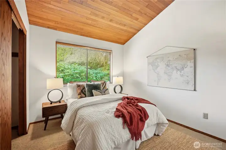 Lower level third bedroom with large closet