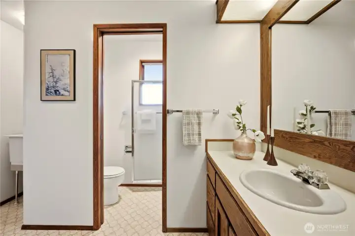 Lower level 3/4 bath with separate toilet and shower, and utility sink