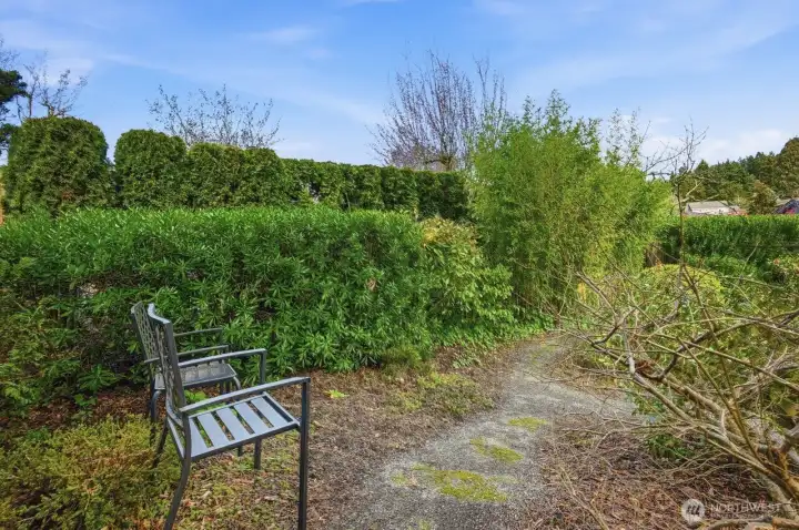 Seating areas along winding path in designed garden filled with NW native plants