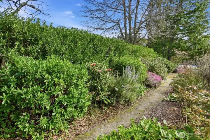 Winding pathways in this "secret garden."
