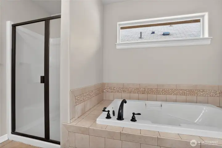 Master bathroom
