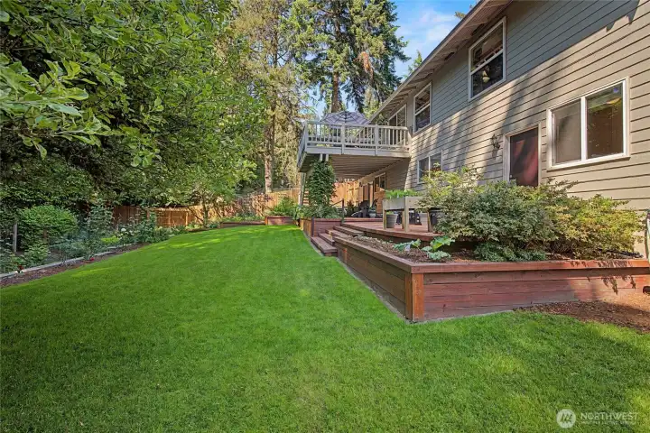 Backyard with fruit trees and garden space.
