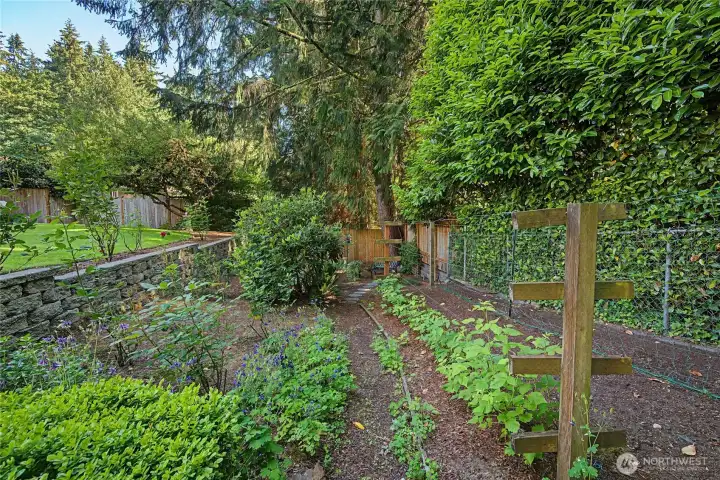 Garden areas.