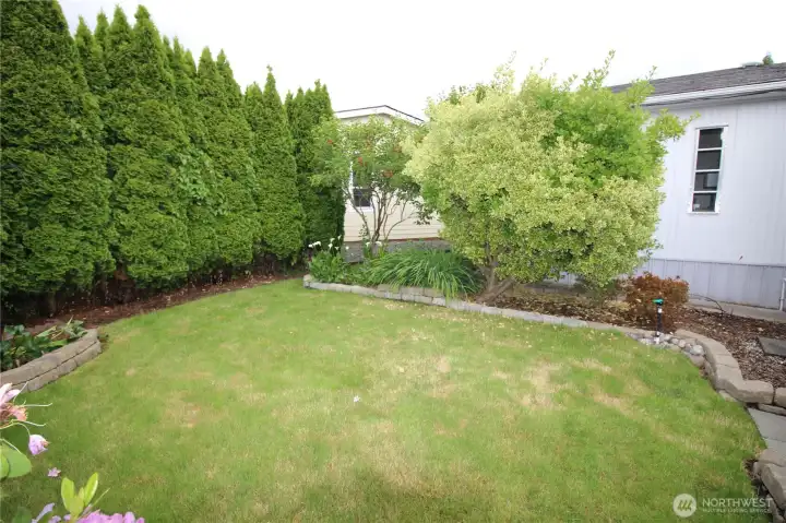 Nice size yard