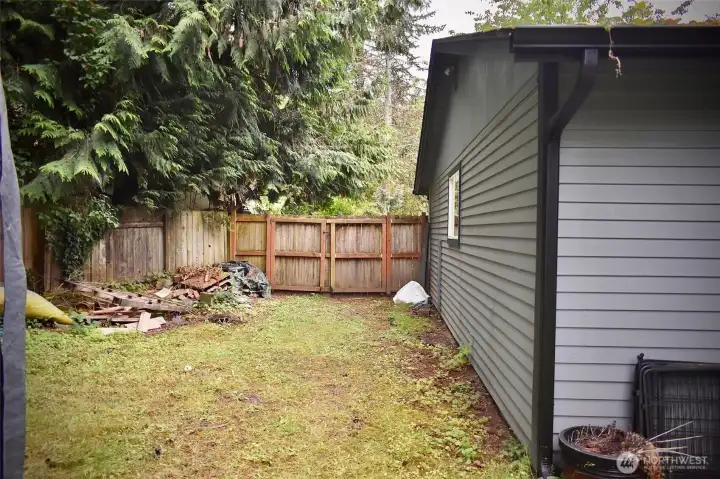 Back Yard