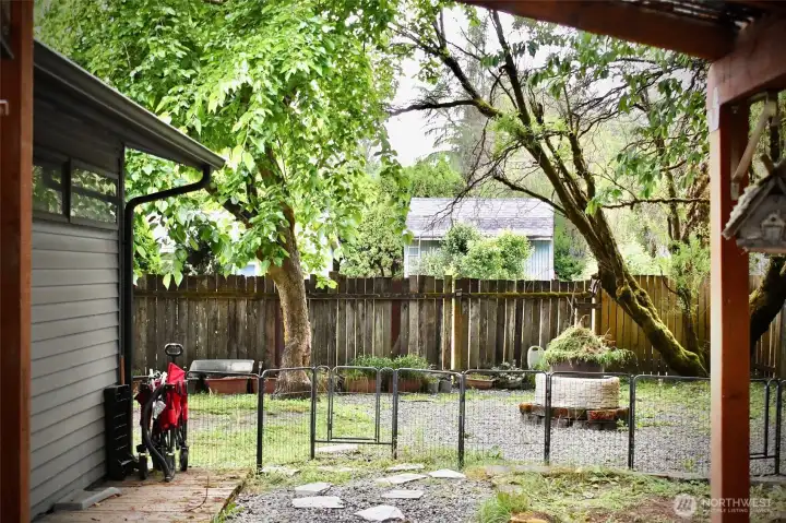 Back Yard