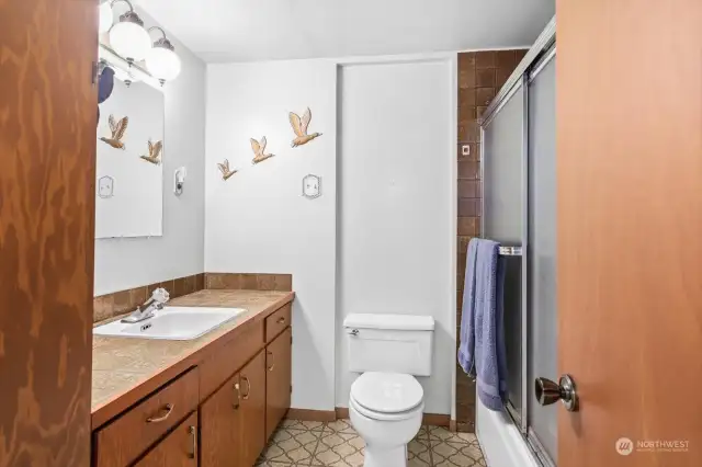 Lower level full bathroom.
