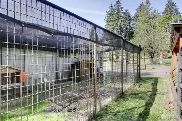 View of the large dog kennel and/or bunny kennel on side of shop.