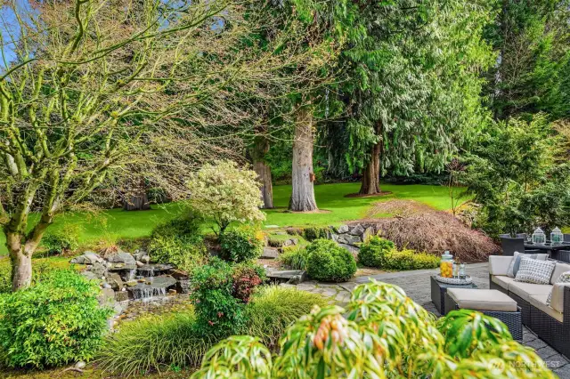Landscape Features: Dogwood, flowering cherry, green & weeping Japanese Maples, Autumn coral bark & flowering pear trees
