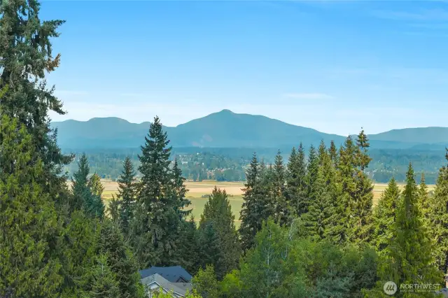 View from Deck