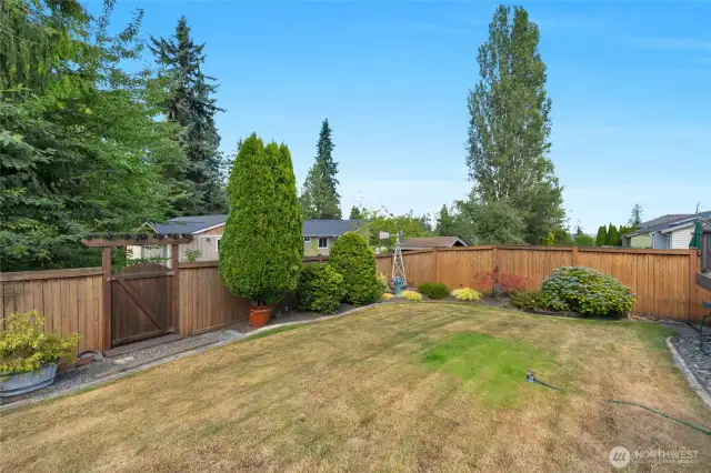 Backyard facing East