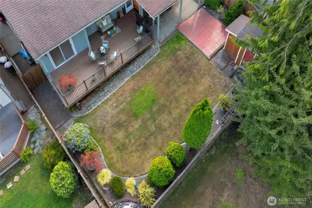 Aerial of Backyard