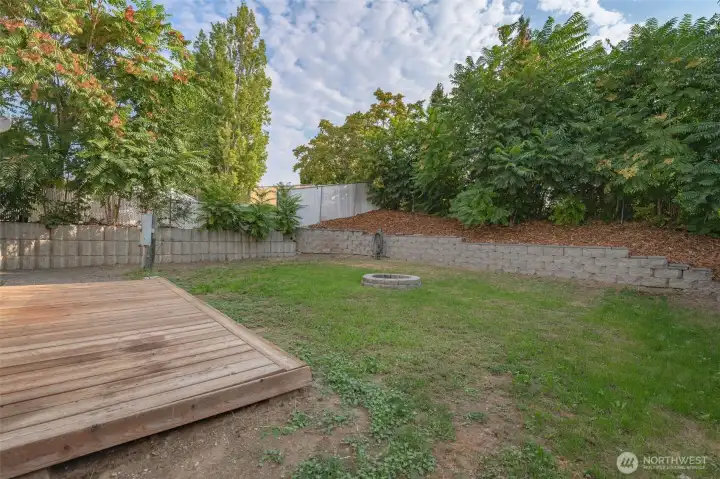 Lush grown trees perfect for privacy!
