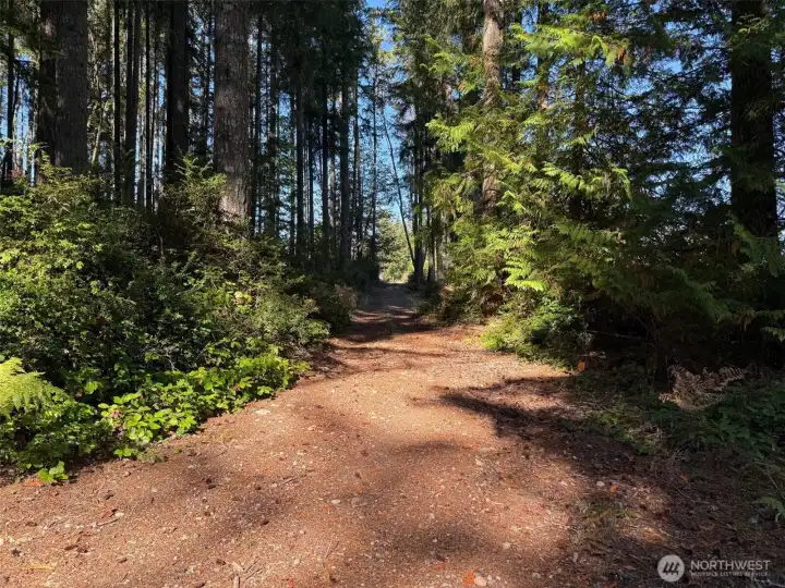 Driveway from 27th Street CT SW.