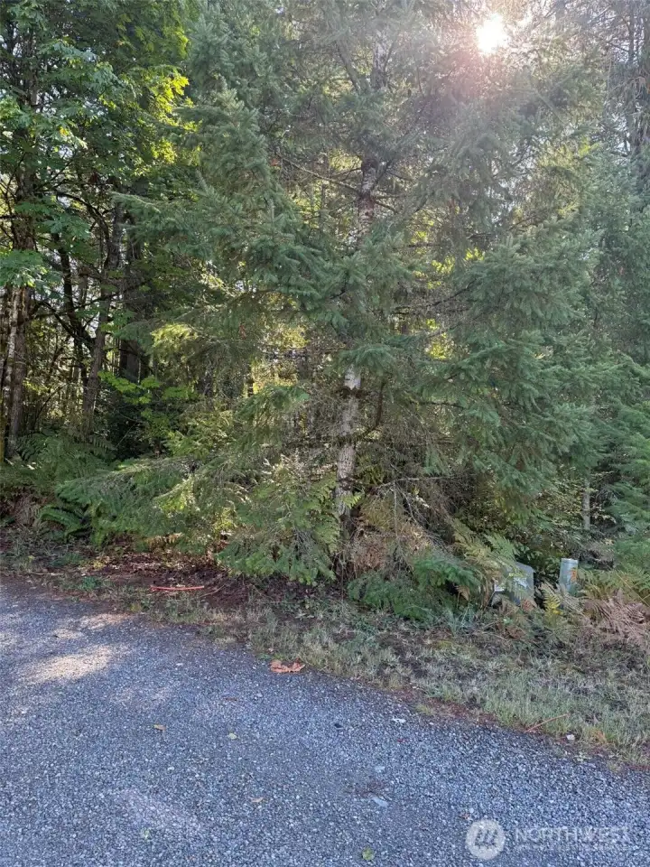 Beginning of property showing utilities at street.