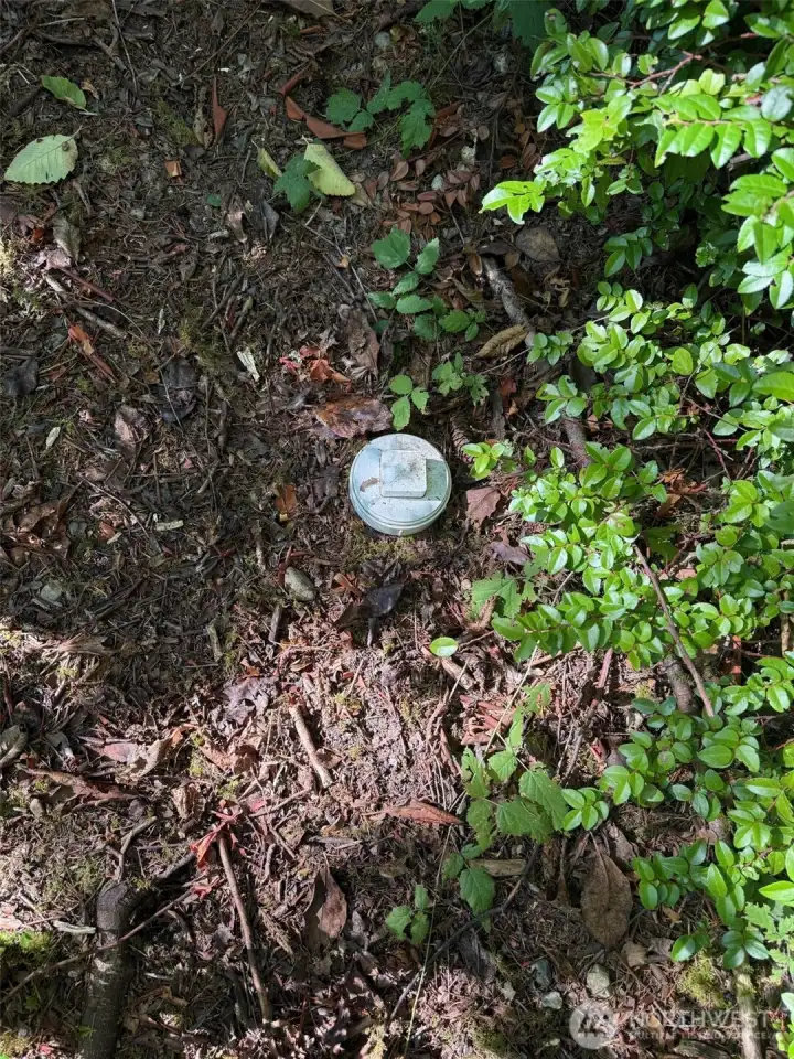 Septic cleanout.