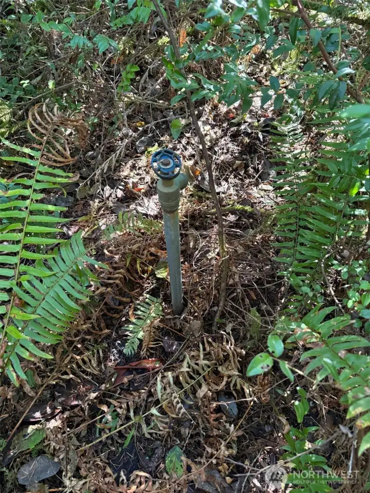 Water spigot.