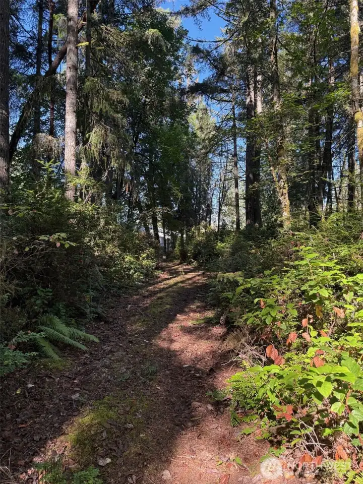 Nice walking trail.