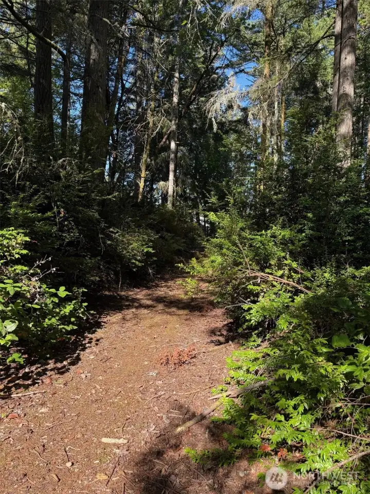 Yet another trail.