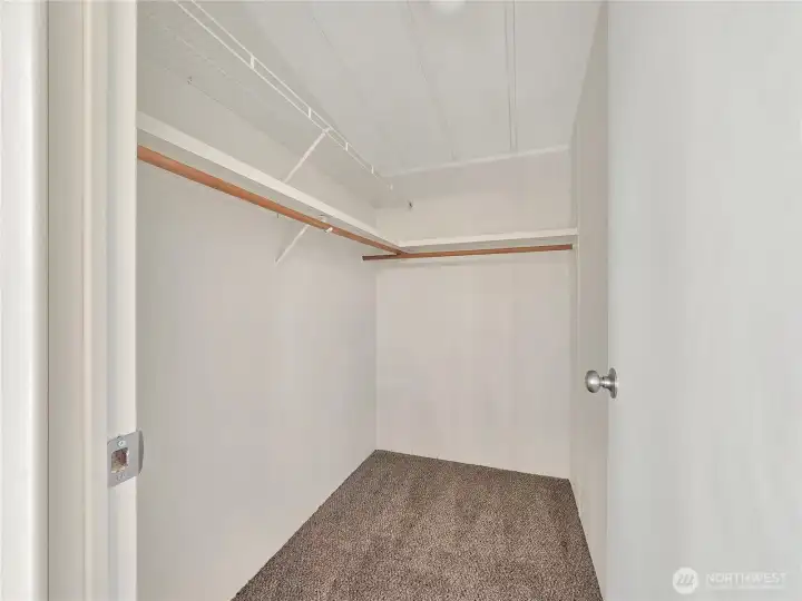 Walk-in closet offering great storage and organization options