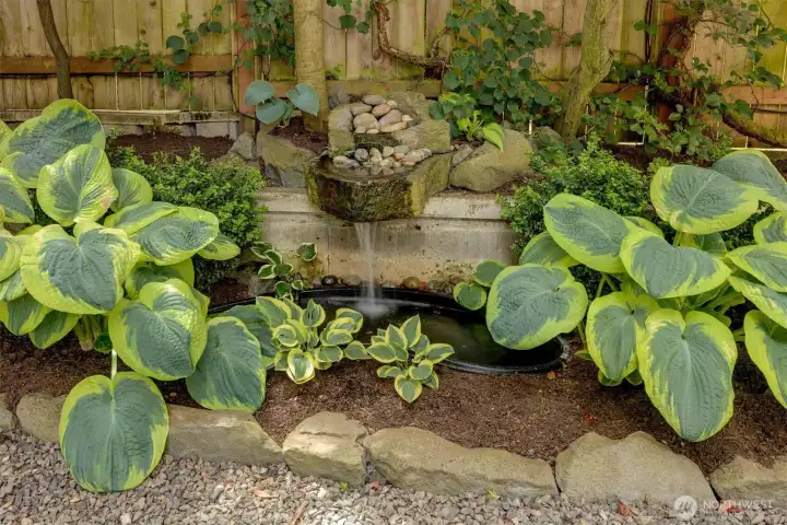 Backyard patio enjoys sounds from this fountain! Pretty landscaping too!