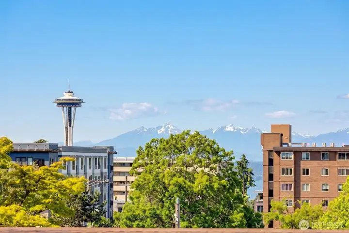 Space Needle, Olympics, and city views from second level deck!