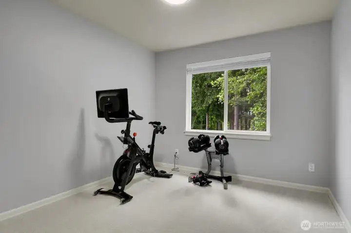 Currently a gym, this 4th bedroom overlooks the backyard and protected greenbelt.
