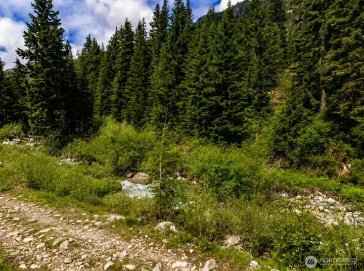 Take a walk along the stream