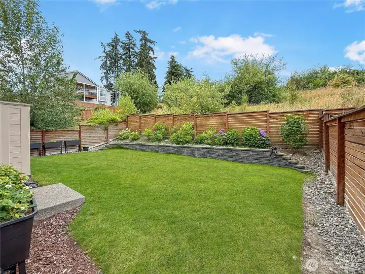 Established landscaping with wisteria by the fence and more beautiful hydrangeas