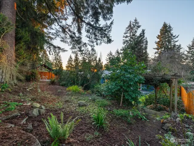 Lush natural landscaping toward the back of the property