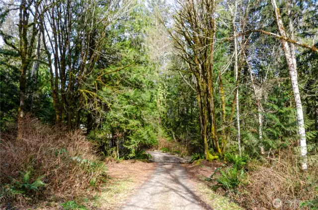 Unpaved road into the secluded 9 plus acres