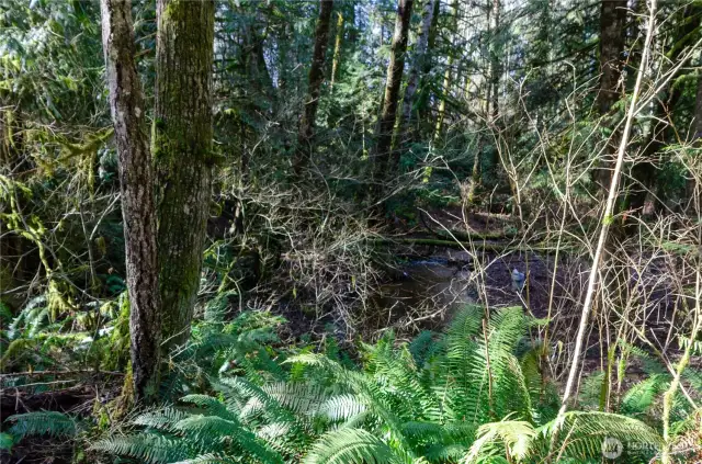 So much nature to appreciate with natural landscapes and a flowing creek