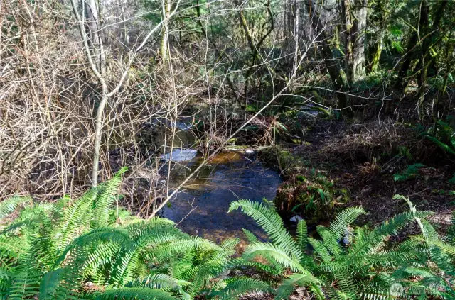 Enjoy the winding creek on this peaceful acreage