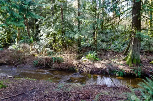 Serene and calming creek that is a highlight to enjoy with this property