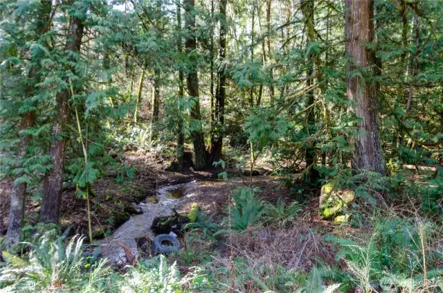 This winding creek is active usually year around