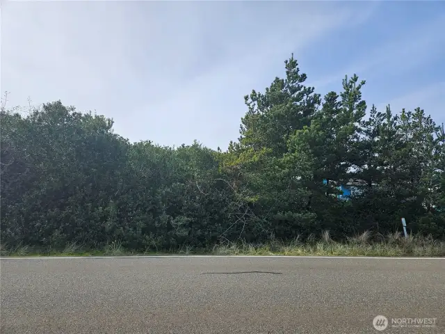 Nice lot, backing up to a green belt.