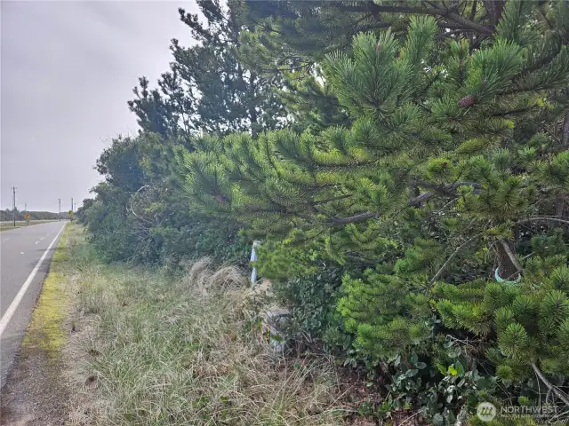 Front (NE) lot corner.