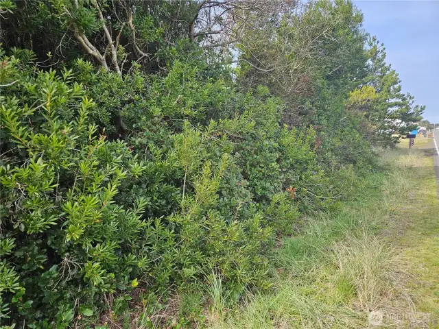 Front (SE) lot corner.