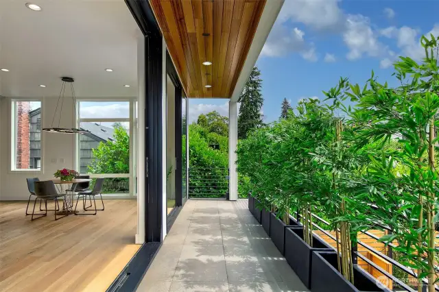 This image shows the primary-level balcony of Unit A, just off the dining area, with bamboo planters adding privacy and greenery. The open-air corridor is wrapped in cedar above, framing views to the northeast. The sleek concrete floor echoes the crisp lines and contemporary elegance of the home’s rear elevation—revealed in earlier images—with Unit B tucked discreetly below.