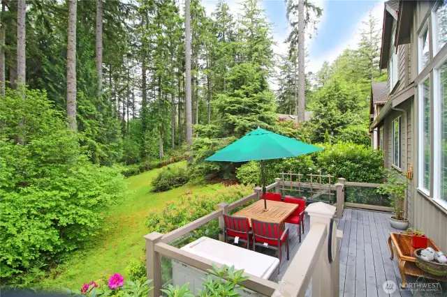 Back deck