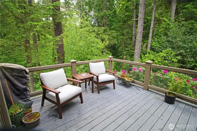 Back deck