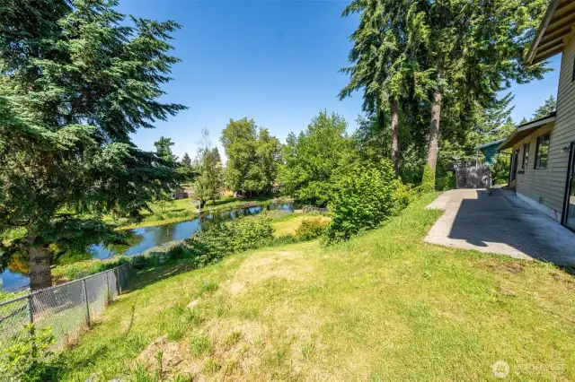 Back yard/pond
