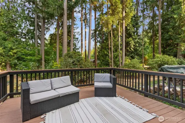 Back Deck