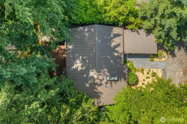 Nestled in the Trees