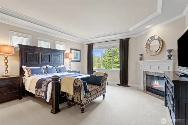 Fireplace in Master