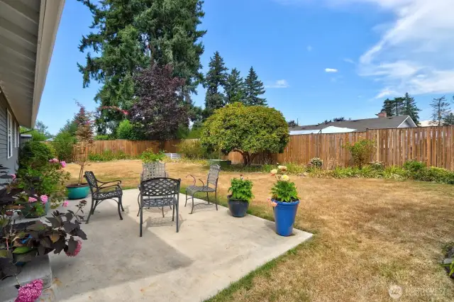 Back yard with concrete patio