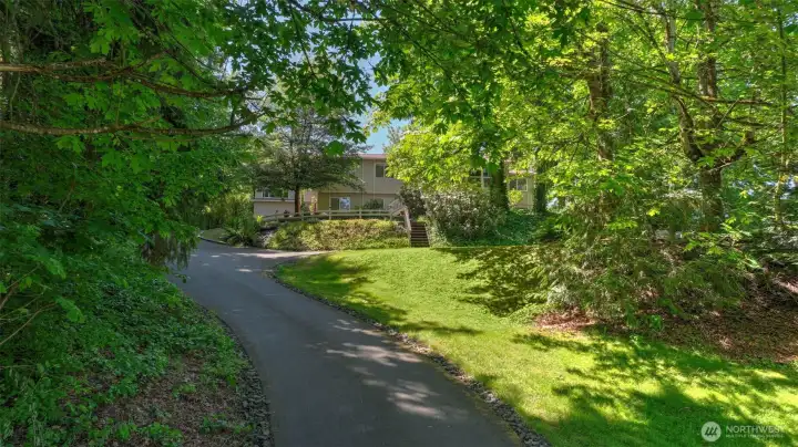 Lush greenery and mature trees line the expansive driveway and front yard, featuring a spacious recreation area.