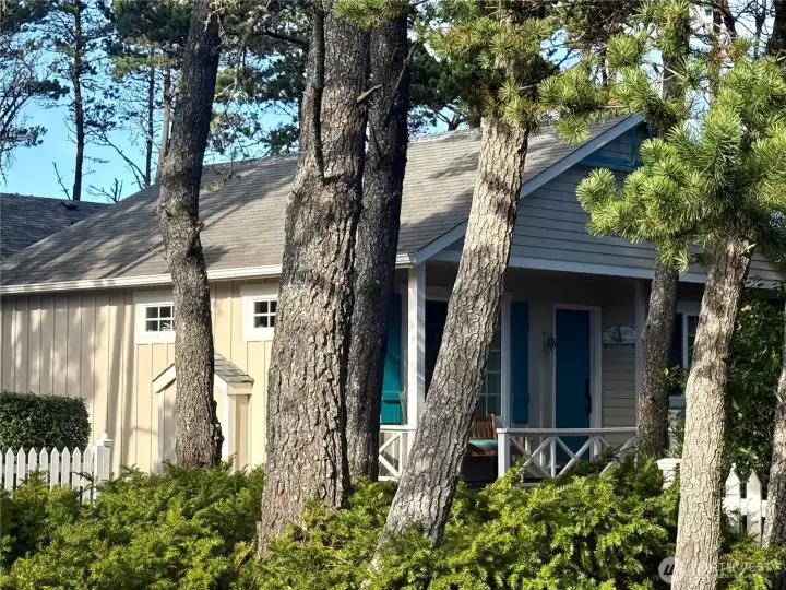 A cottage in the trees and by the ocean!