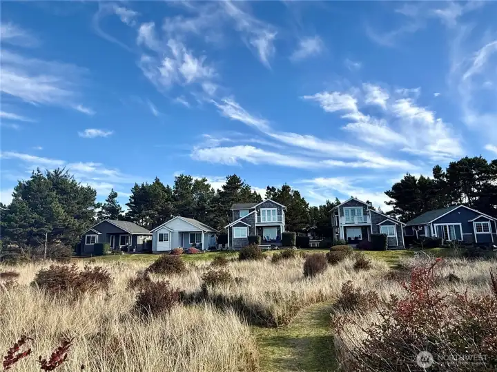 Looking back at Blackwood Beach Cottages