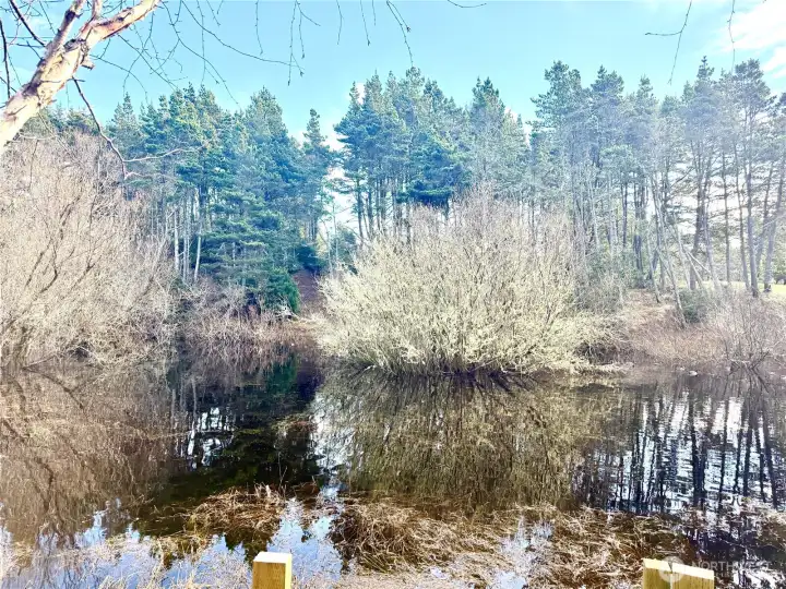 Pass a pond on your way to your cottage